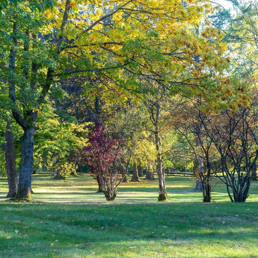 Ferienwohnung "Am Kurpark" Sankt Andreasberg Exteriér fotografie